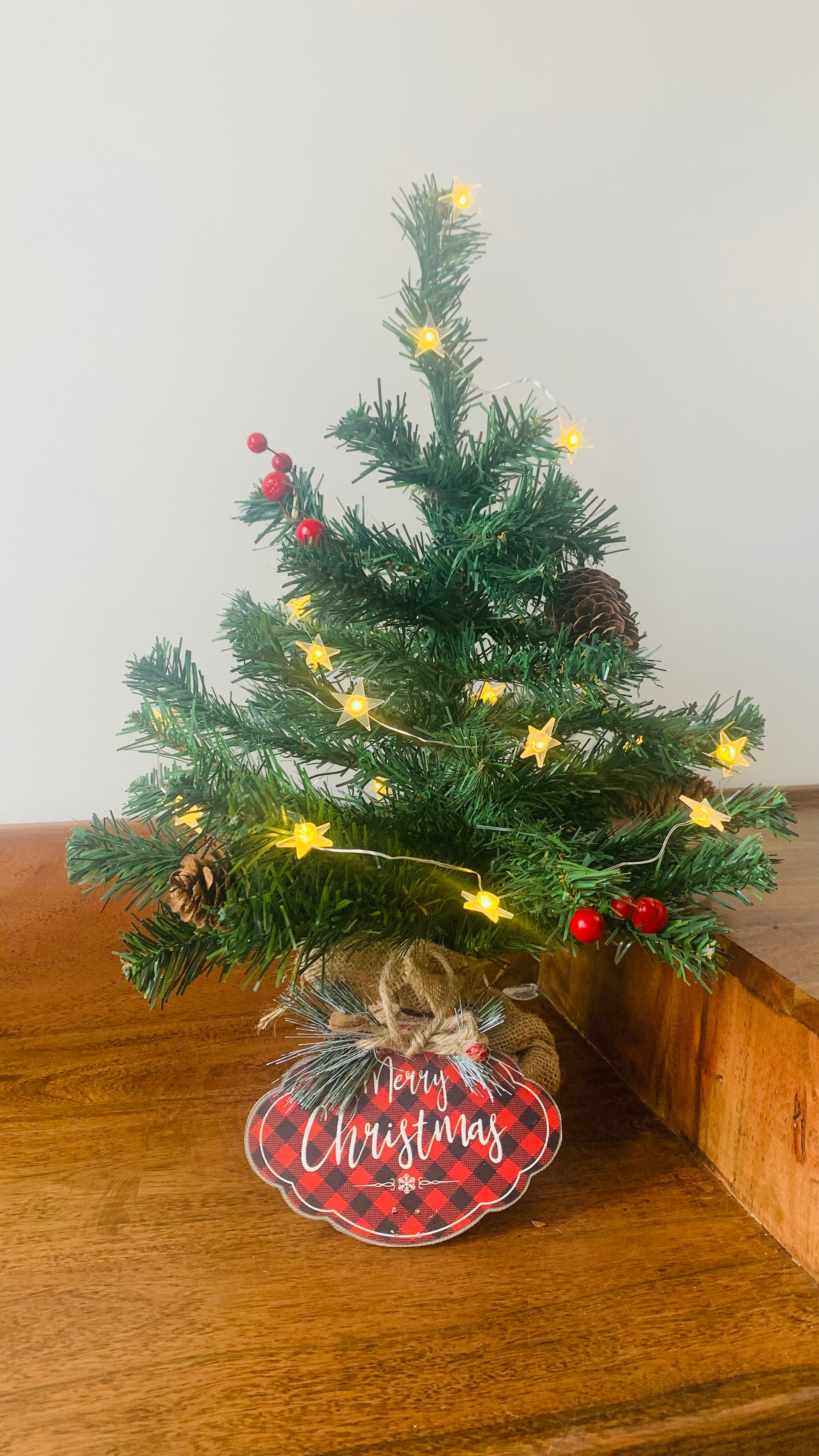 Ribbonitup - Christmas Tree with Jute Base