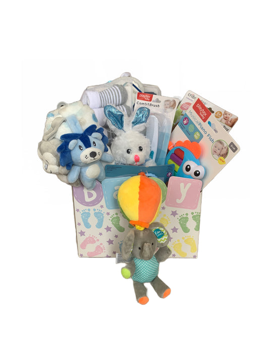 Baby Gift Basket - Boy