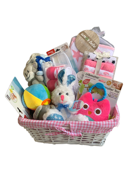 Baby Gift Basket - Girl